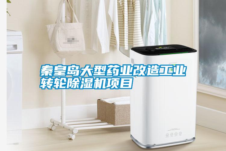 秦皇岛大型药业改造工业转轮好色先生污污版项目