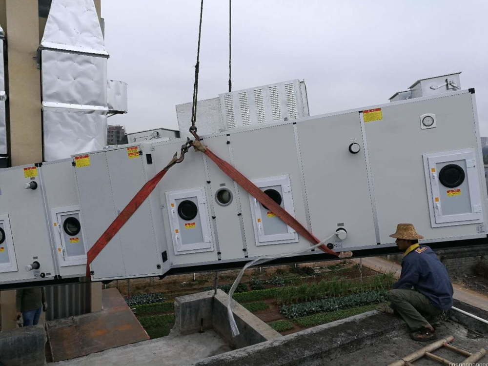 转轮好色先生污污版安装