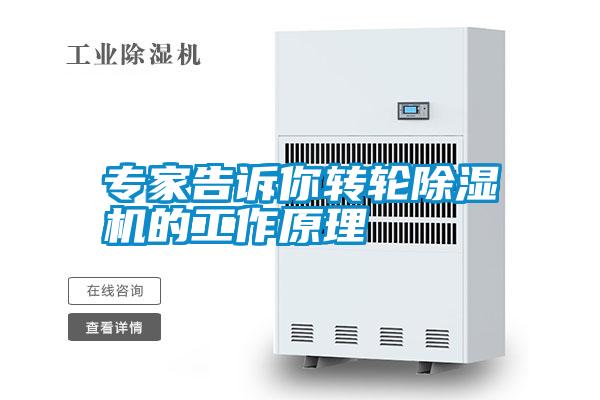 专家告诉你转轮好色先生污污版的工作原理