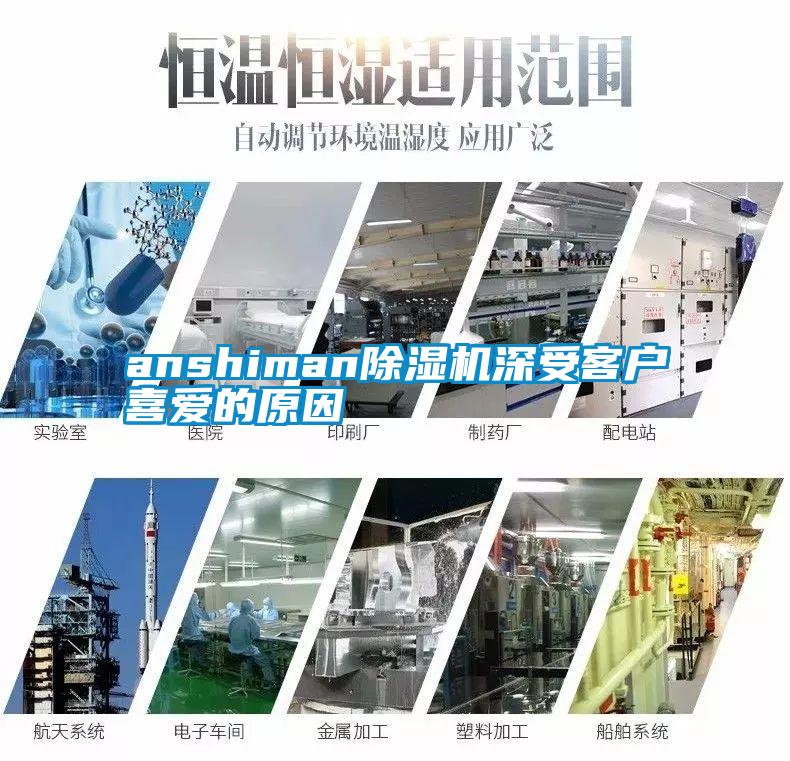 anshiman好色先生污污版深受客户喜爱的原因