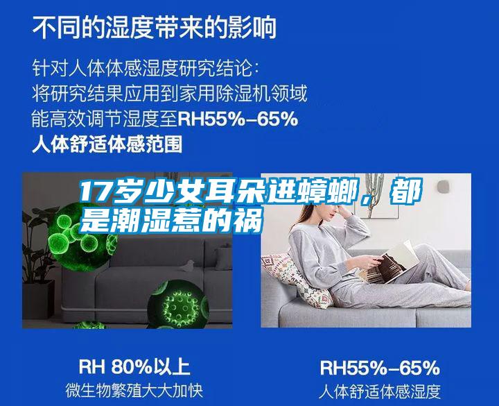 17岁少女耳朵进蟑螂，都是潮湿惹的祸