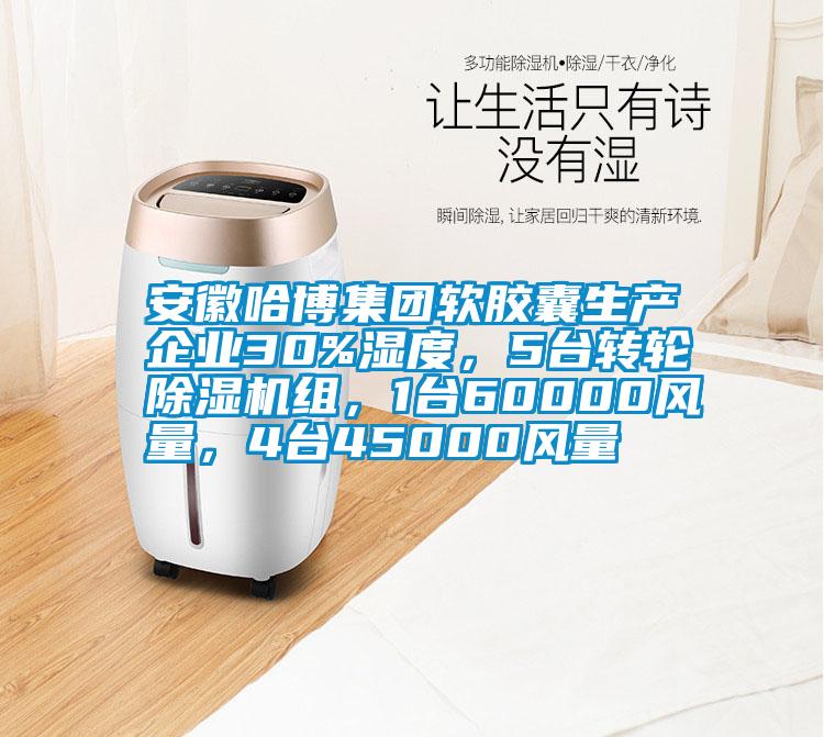 安徽哈博集团软胶囊生产企业30%湿度，5台转轮好色先生污污版组，1台60000风量，4台45000风量
