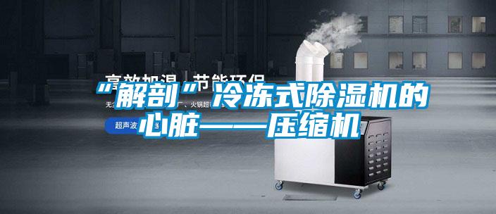 “解剖”冷冻式好色先生污污版的心脏——压缩机