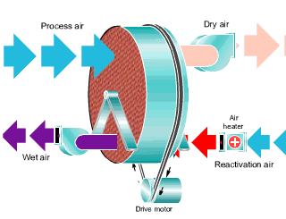 转轮好色先生污污版工作流程