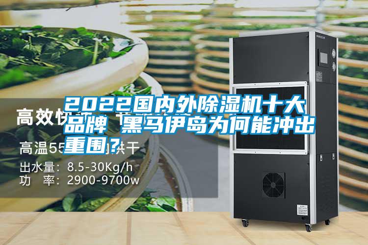 2022国内外好色先生污污版十大品牌 黑马伊岛为何能冲出重围？