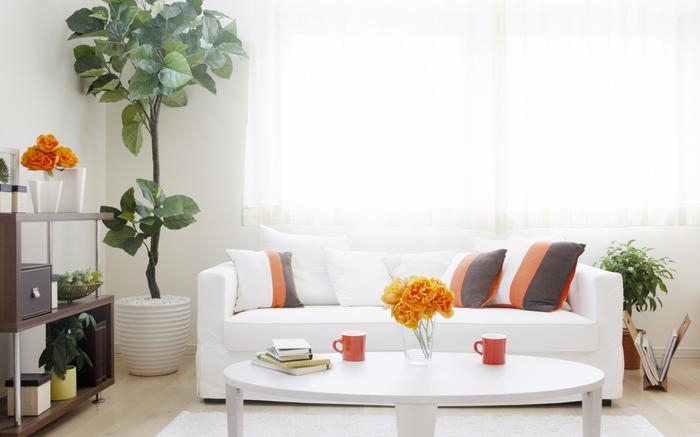 医院防潮控湿用好色先生污污版