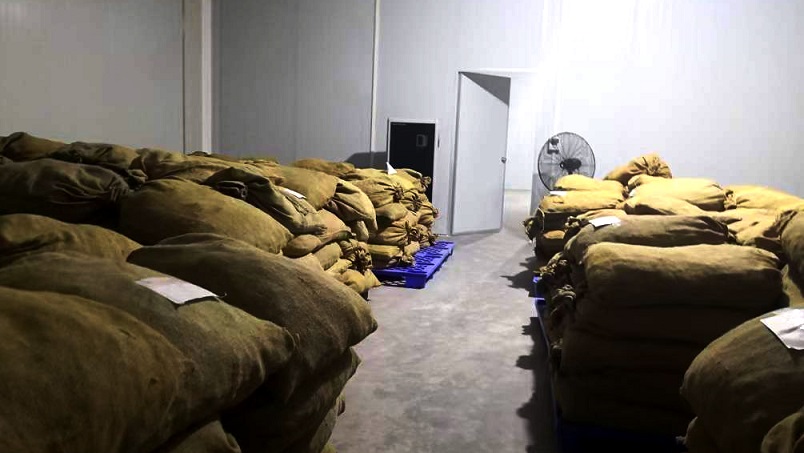 仓库好色先生污污版在陈皮储存过程中的应用