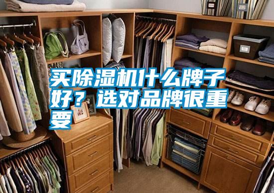 买好色先生污污版什么牌子好？选对品牌很重要