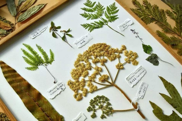 1569315606389961.jpg 图片1.jpg