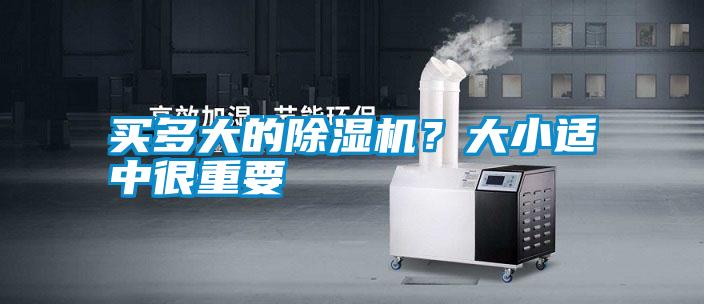 买多大的好色先生污污版？大小适中很重要