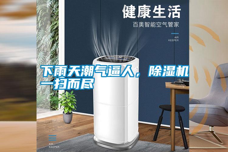 下雨天潮气逼人，好色先生污污版一扫而尽