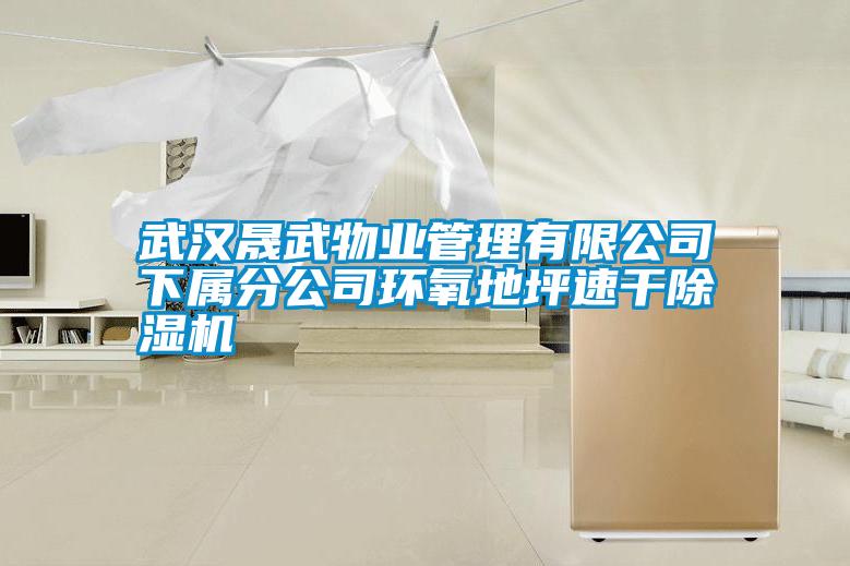 武汉晟武物业管理有限公司下属分公司环氧地坪速干好色先生污污版