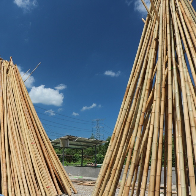 烘干好色先生污污版 烘干好色先生污污版