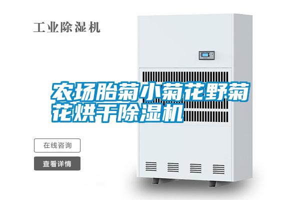 农场胎菊小菊花野菊花烘干好色先生污污版