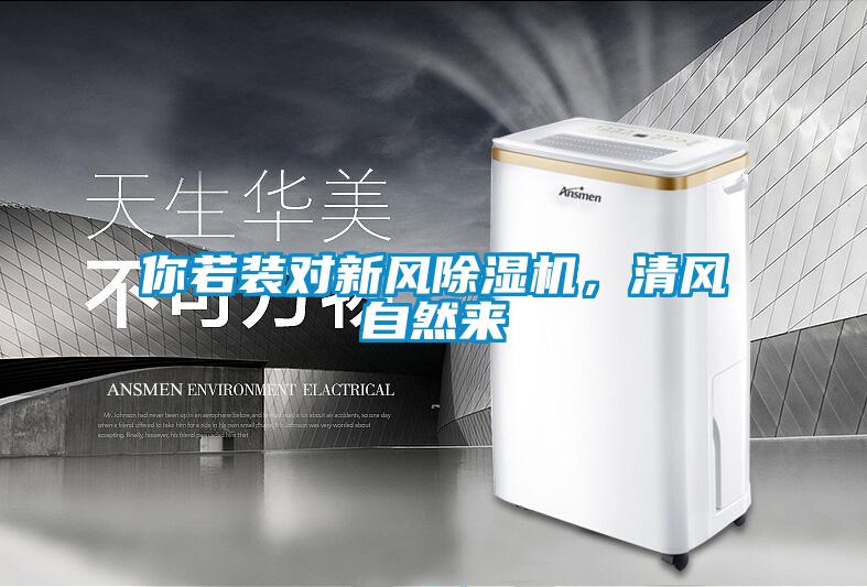 你若装对新风好色先生污污版，清风自然来