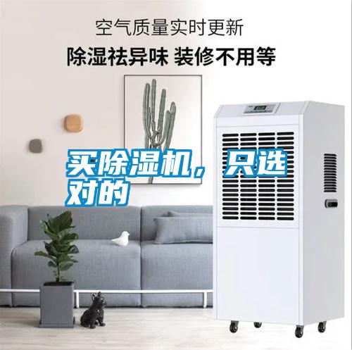 买好色先生污污版，只选对的