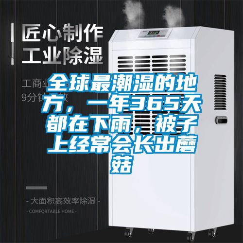 全球最潮湿的地方，一年365天都在下雨，被子上经常会长出蘑菇