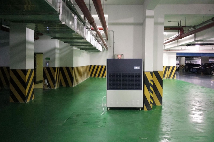 健康：春晨雾蒙蒙 除湿意更浓之