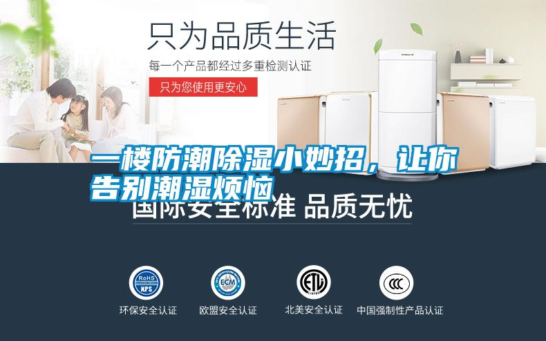一楼防潮除湿小妙招，让你告别潮湿烦恼