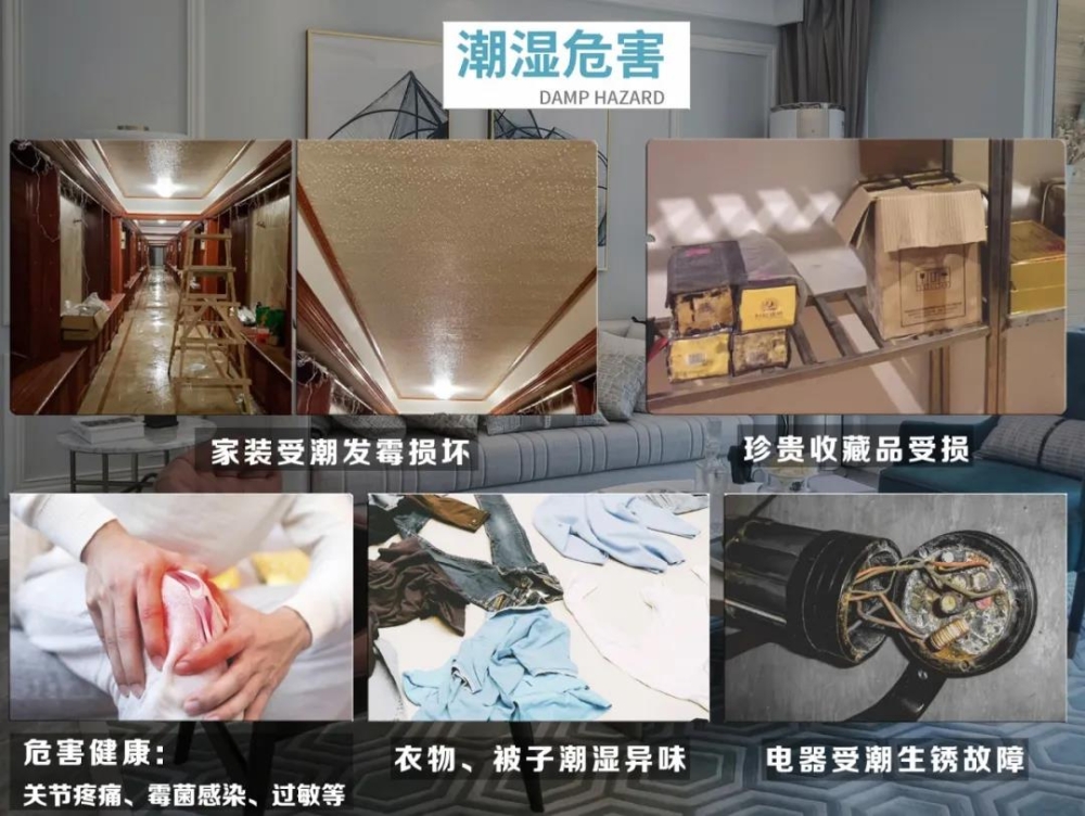 好色先生污污版