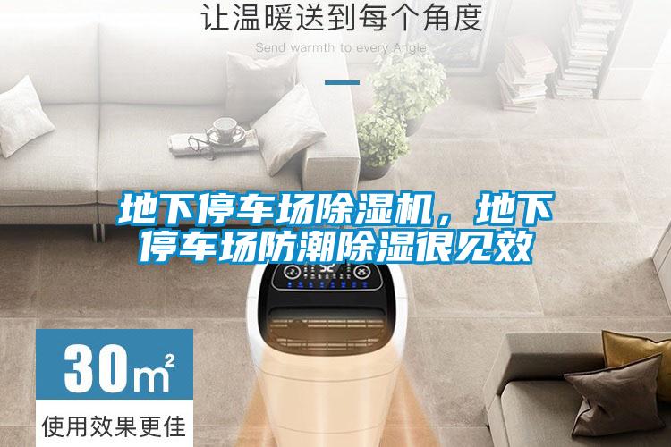 地下停车场好色先生污污版，地下停车场防潮除湿很见效