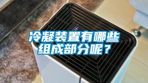 冷凝装置有哪些组成部分呢？