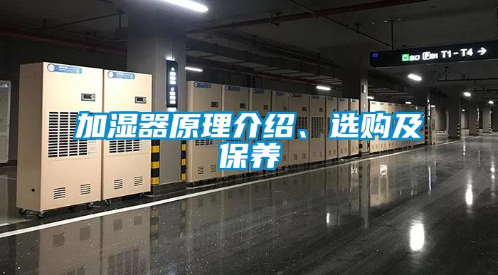 加湿器原理介绍、选购及保养