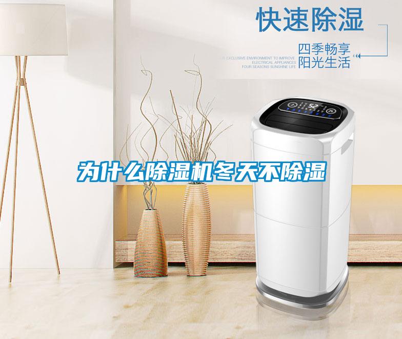 为什么好色先生污污版冬天不除湿