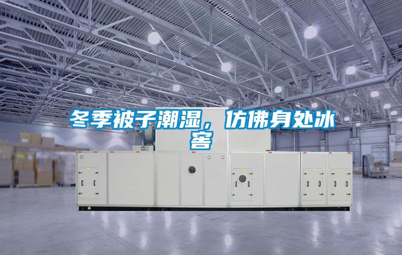 冬季被子潮湿，仿佛身处冰窖