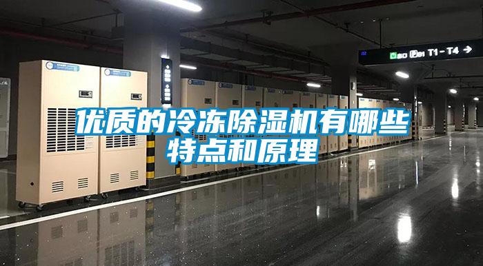 优质的冷冻好色先生污污版有哪些特点和原理