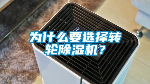 为什么要选择转轮好色先生污污版？