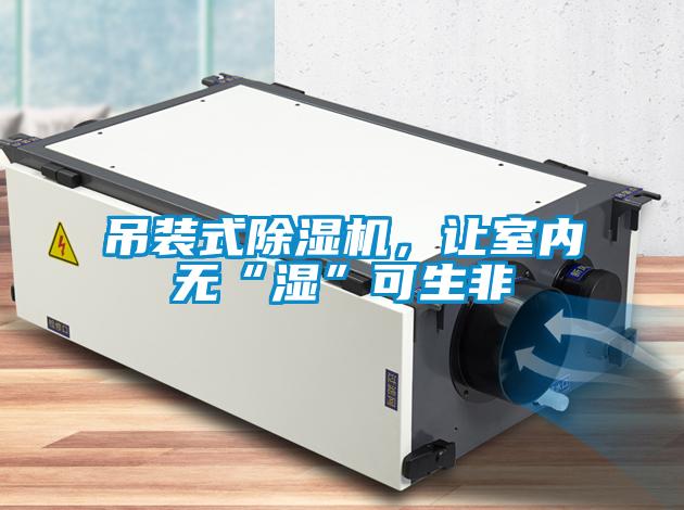 吊装式好色先生污污版，让室内无“湿”可生非