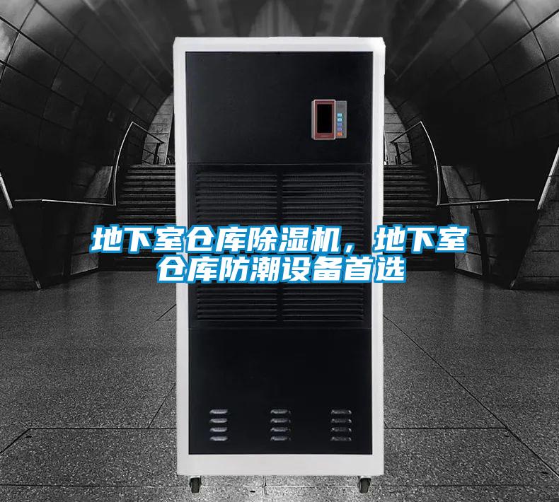 地下室仓库好色先生污污版，地下室仓库防潮设备首选