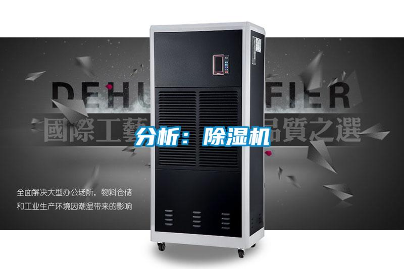 分析：好色先生污污版