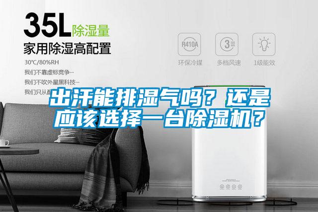 出汗能排湿气吗？还是应该选择一台好色先生污污版？