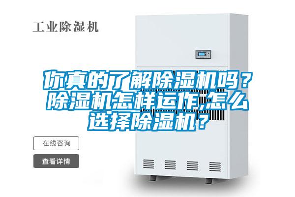 你真的了解好色先生污污版吗？好色先生污污版怎样运作,怎么选择好色先生污污版？