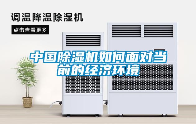 中国好色先生污污版如何面对当前的经济环境