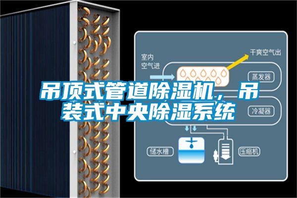 吊顶式管道好色先生污污版，吊装式中央除湿系统