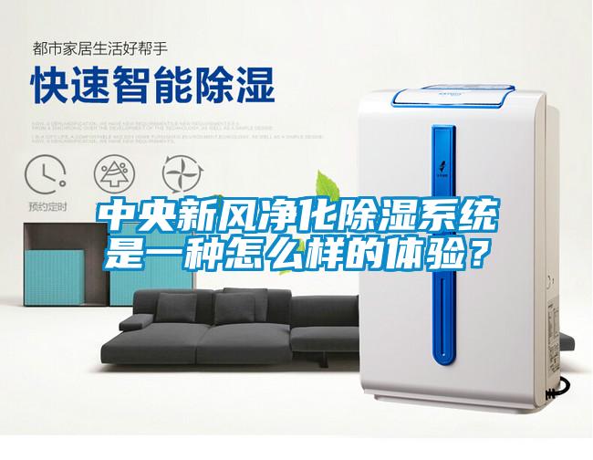 中央新风净化除湿系统是一种怎么样的体验？