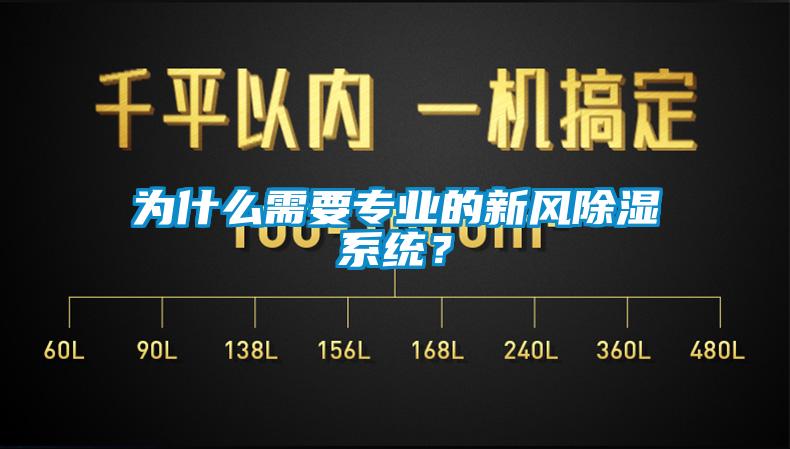 为什么需要专业的新风除湿系统？