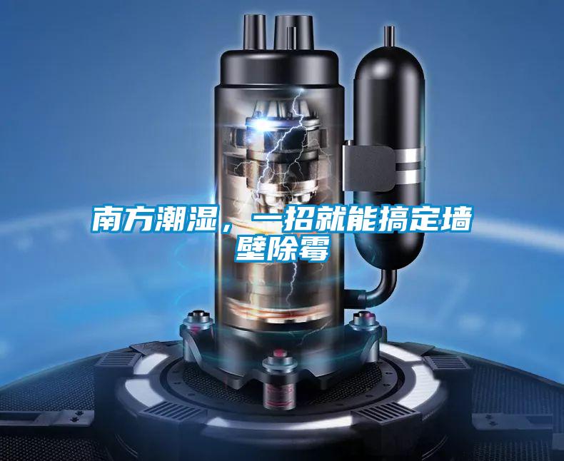 南方潮湿，一招就能搞定墙壁除霉