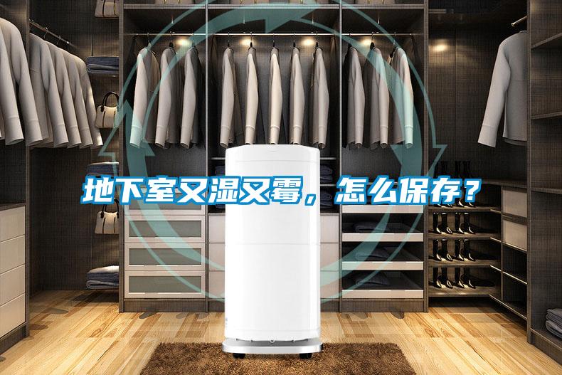 地下室又湿又霉，怎么保存？
