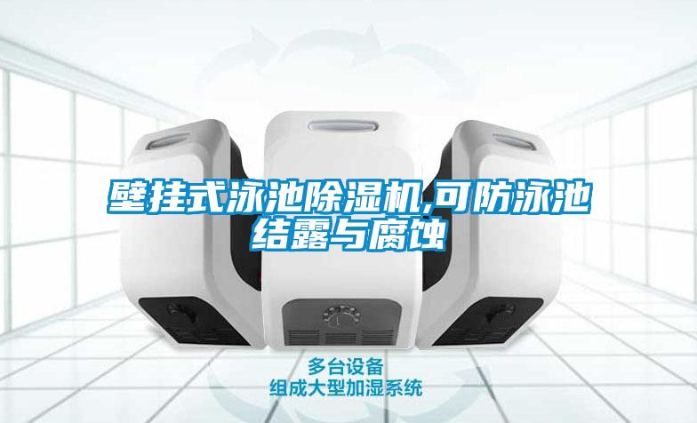 壁挂式泳池好色先生污污版,可防泳池结露与腐蚀