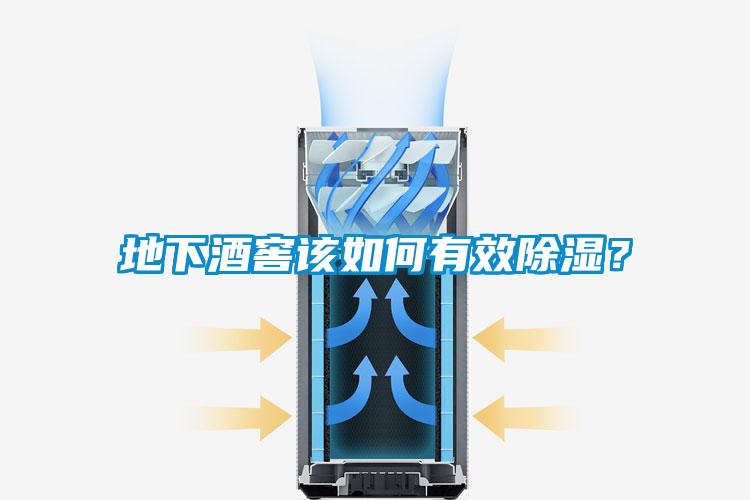 地下酒窖该如何有效除湿？