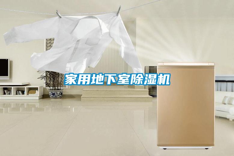 家用地下室好色先生污污版