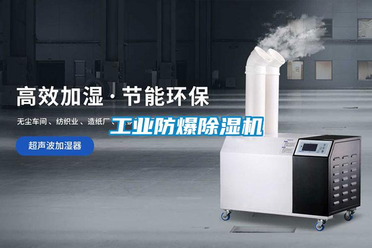 工业防爆好色先生污污版