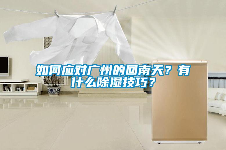 如何应对广州的回南天？有什么除湿技巧？