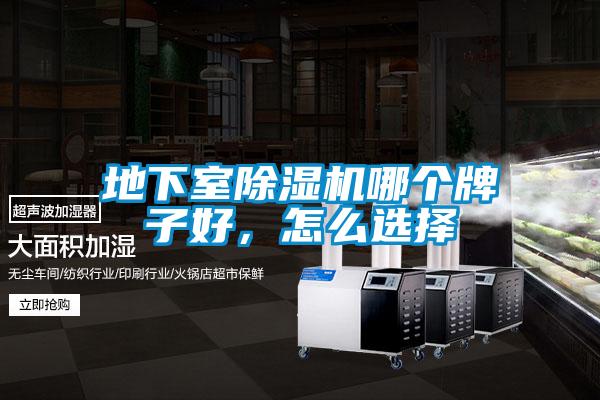 地下室好色先生污污版哪个牌子好，怎么选择