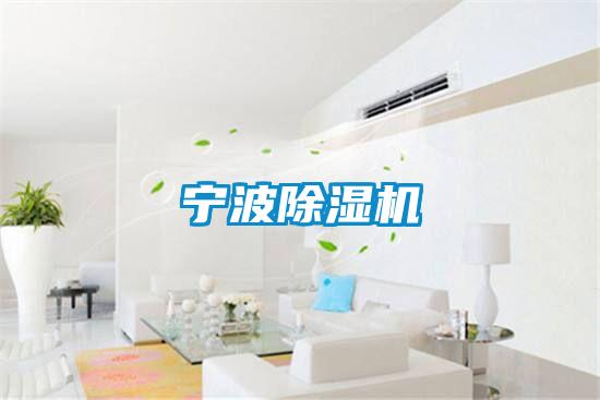 宁波好色先生污污版