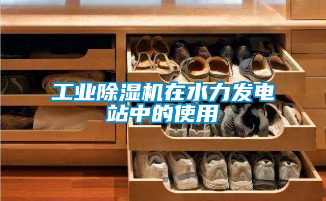 工业好色先生污污版在水力发电站中的使用